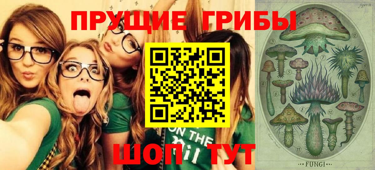 Псилоцибиновые грибы Magic Shrooms Губкинский
